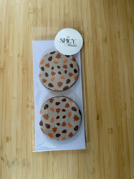 Autumn Leaves Car Coasters